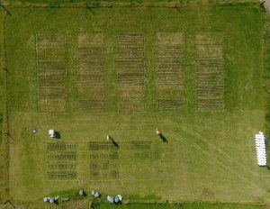 Drone picture of one of our trials. You can see freshly applied slurry in bands on the plots-it has to be done quickly and requires a lot of manual work.